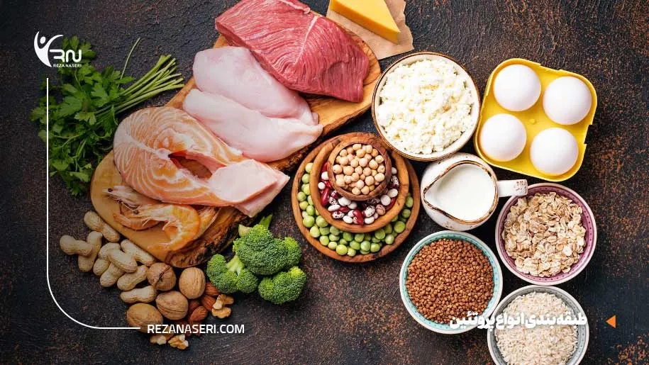 انواع پروتئین