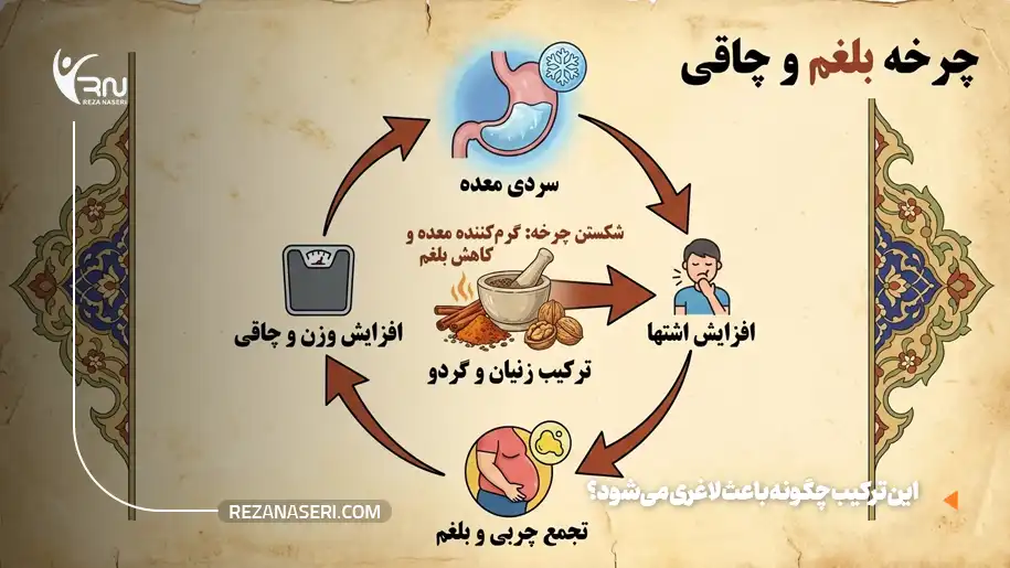 زنیان و گردو چگونه باعث لاغری میشود؟