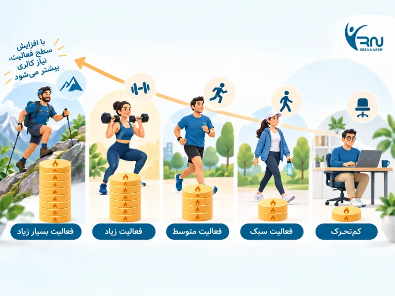 تاثیر سطح فعالیت روزانه بر میزان کالری مورد نیاز بدن