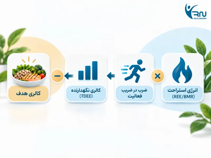 مسیر محاسبه BMR تا TDEE و کالری هدف برای کاهش وزن