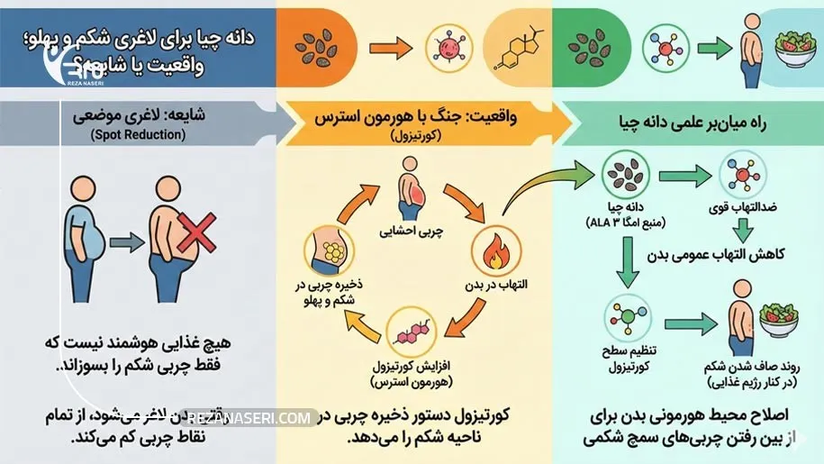 دانه چیا برای لاغری شکم و پهلو