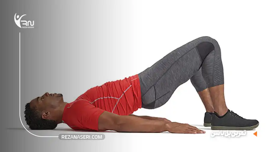 پل باسن (Glute Bridge)