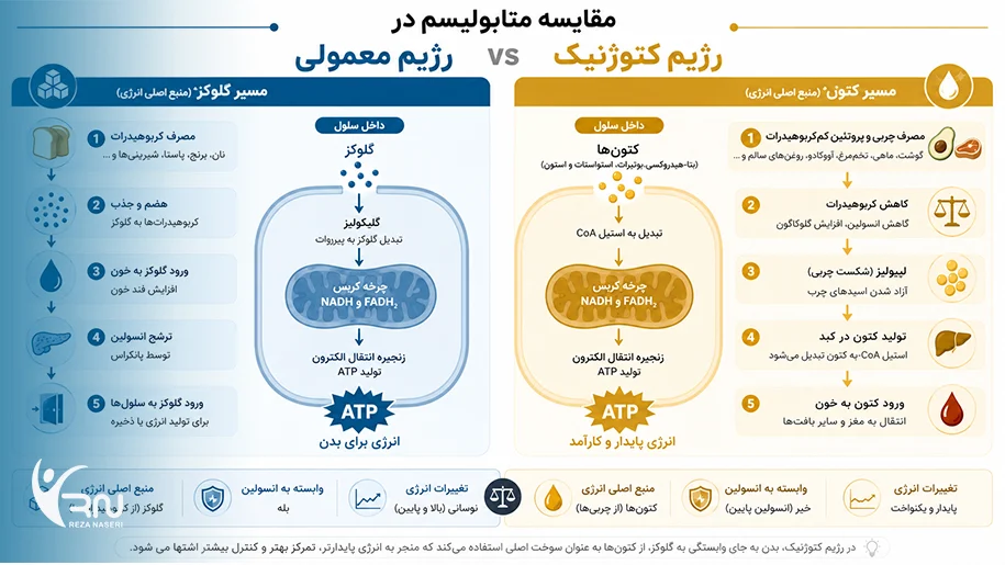 تفاوت رژیم کتوژنیک با رژیم های معمولی