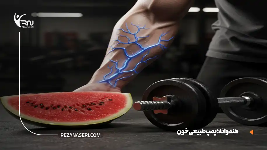 هندوانه برای بدنسازی