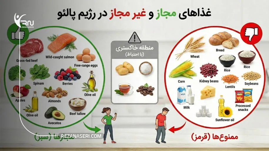 لیست کامل غذاهای مجاز و غیرمجاز رژیم غارنشینی