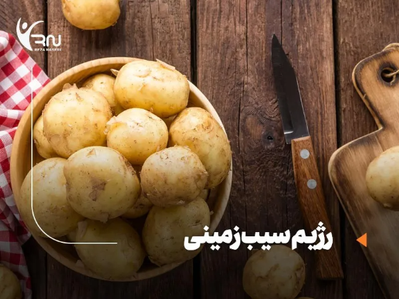 رژیم سیب زمینی؛ روشی سریع برای لاغری یا تهدیدی برای سلامت؟