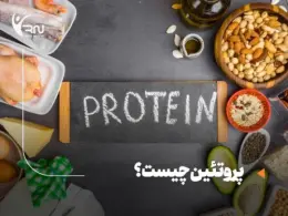 پروتئین چیست؟ آشنایی با انواع پروتئین و فواید آن برای بدن