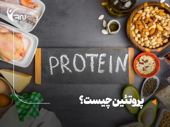 پروتئین چیست؟ آشنایی با انواع پروتئین و فواید آن برای بدن