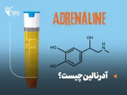 آدرنالین چیست؟ بررسی کامل هورمون هیجان، کاربردها و تاثیرات آن بر بدن